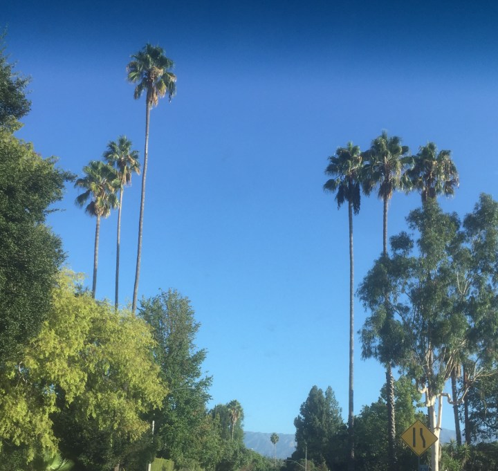 The Authority to Bless Blog Pic