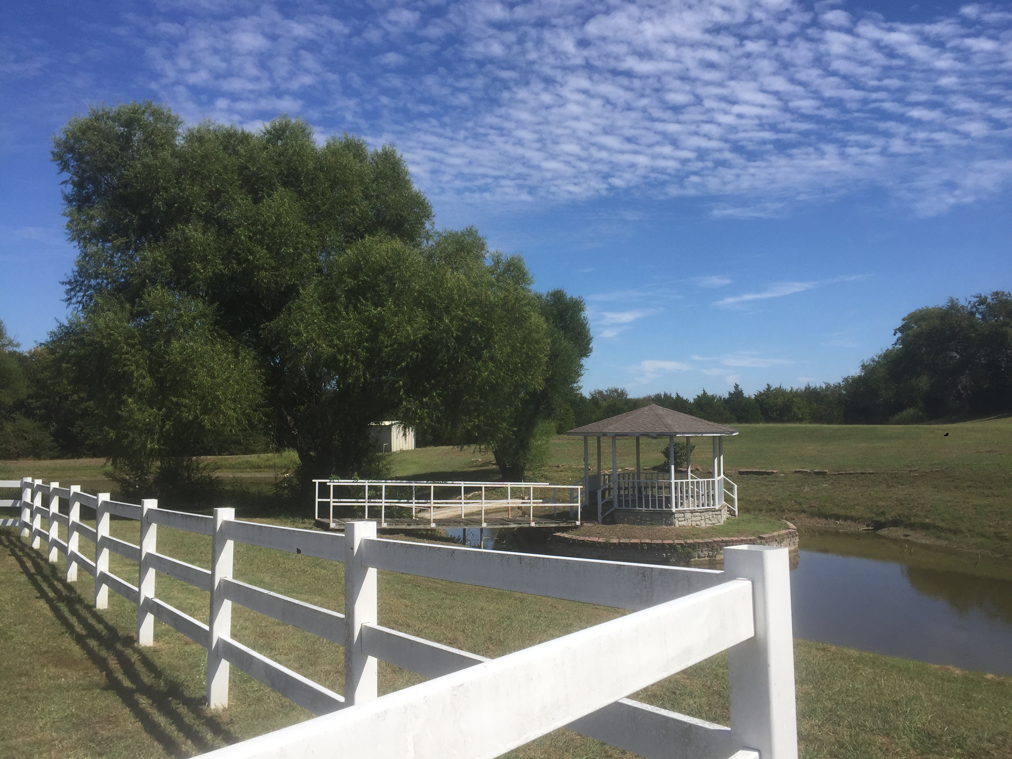 Looking back from 25