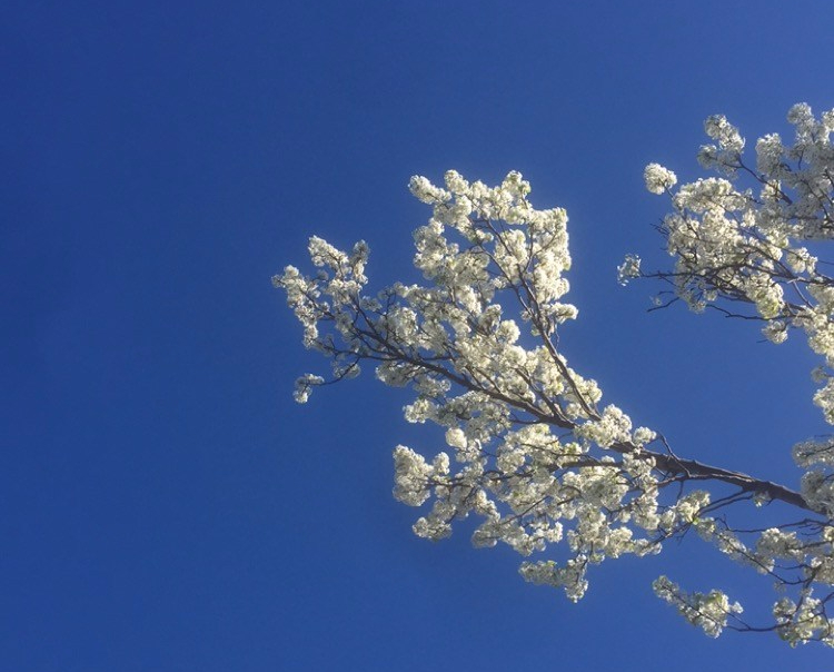 From Winter to Spring